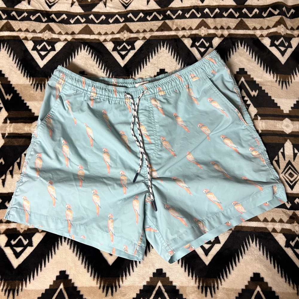American Eagle swim trunks